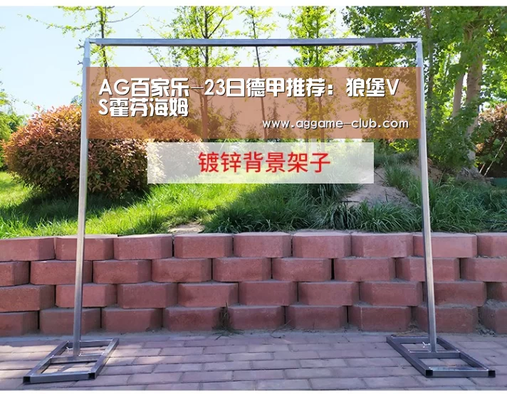 AG百家乐-23日德甲推荐:狼堡VS霍芬海姆(图1) AG电竞
