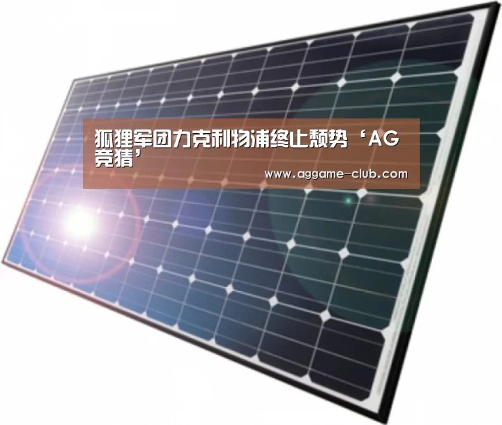 AG入口
