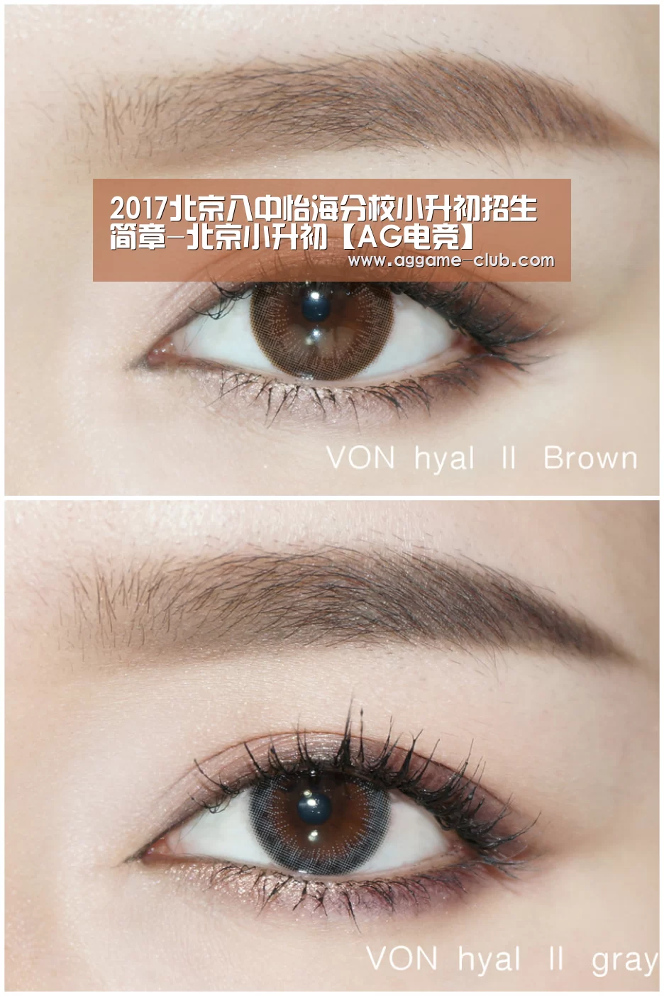 AG百家乐