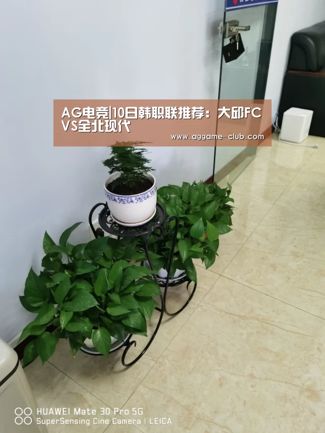 AG电竞|10日韩职联推荐:大邱FCVS全北现代(图1) AG电竞