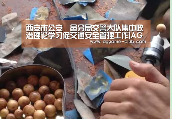 西安市公安鄠邑分局交警大队集中政治理论学习促交通安全管理工作|AG入口(图1) AG竞猜
