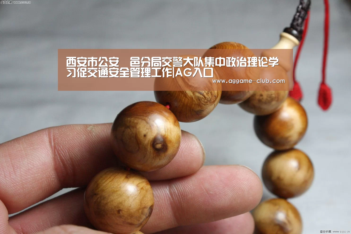 西安市公安鄠邑分局交警大队集中政治理论学习促交通安全管理工作|AG入口(图4) AG电竞